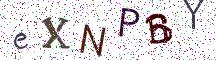 eXNPBY