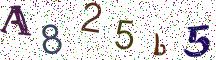 A825b5