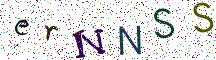 erNNSS