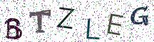 BTZLEG