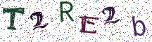 T2RE2b