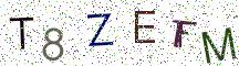 T8ZEFM