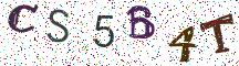 CS5B4T