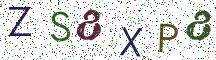 ZS8XP8