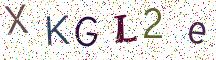XKGL2e