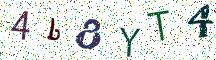 4b8YT4