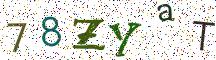 78ZYaT