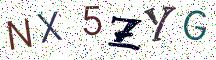 NX5ZYG