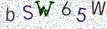 bSW65W