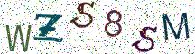 WZS8SM