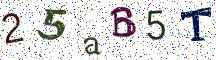 25aB5T
