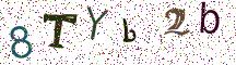 8TYb2b