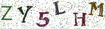 ZY5LHM
