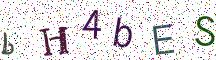 bH4bES