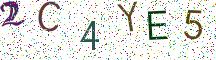2C4YE5