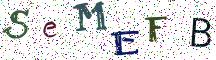 SeMEFB