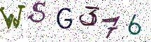 WSG376