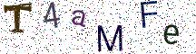T4aMFe