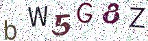 bW5G8Z