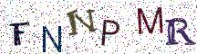 FNNPMR
