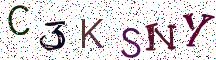 C3KSNY
