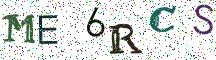 ME6RCS
