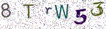 8TrW53