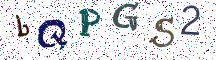 bQPGS2