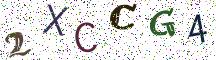 2XCCG4