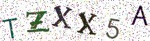 TZXX5A