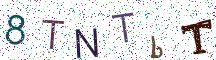 8TNTbT