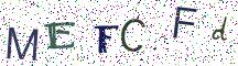 MEFCFd