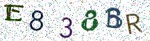E838BR