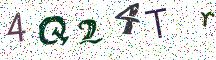 4Q24Tr