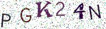 PGK24N