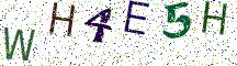 WH4E5H