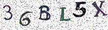 36BL5X