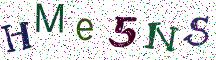 HMe5NS