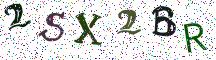 2SX2BR