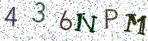 436NPM