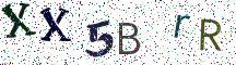 XX5BrR
