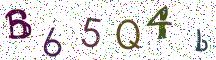 B65Q4b