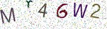 Mr46W2