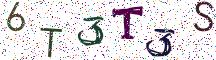6T3T3S
