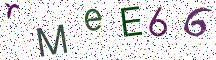 rMeE66