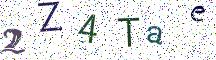 2Z4Tae