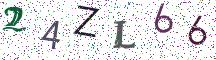 24ZL66