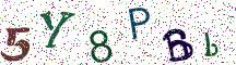 5Y8PBb