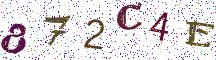 872C4E