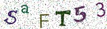 SaFT53